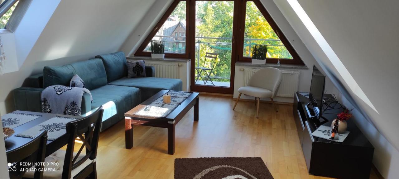 Апартаменты Apartament Gazda Закопане Экстерьер фото
